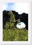 DSC_1804_near_Myvatn